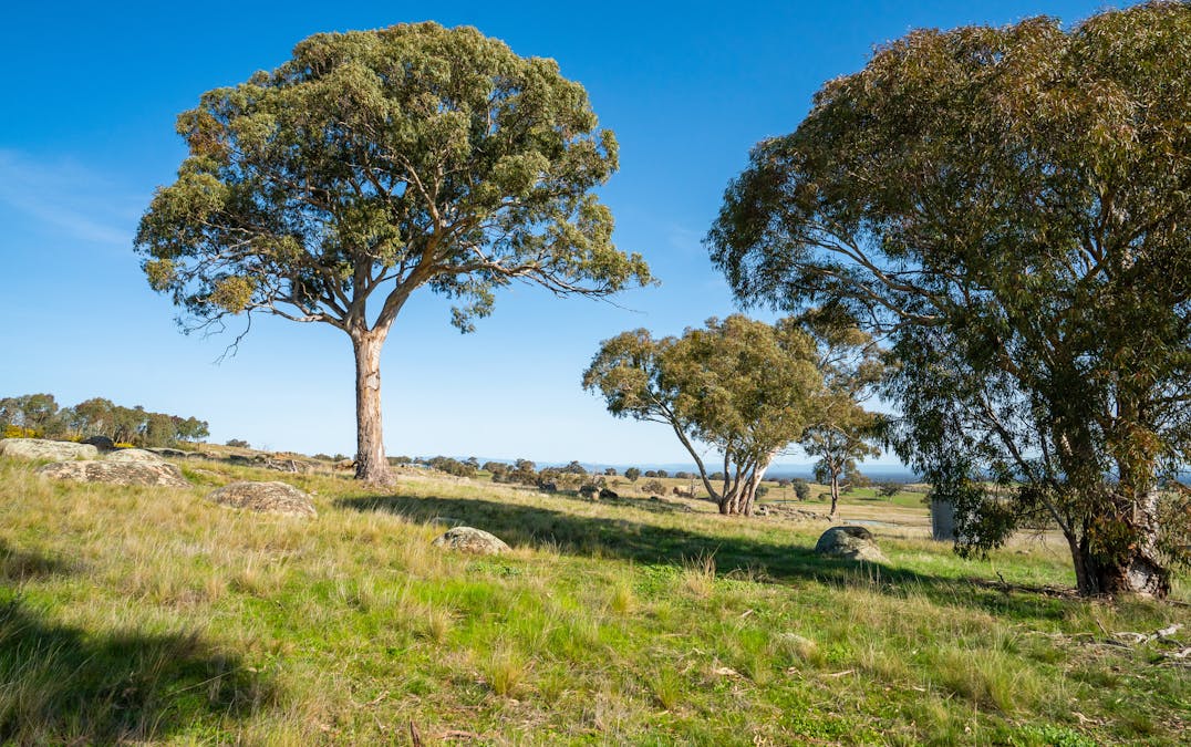 . Cemetery Road, Eldorado, VIC, 3746 - Image 21
