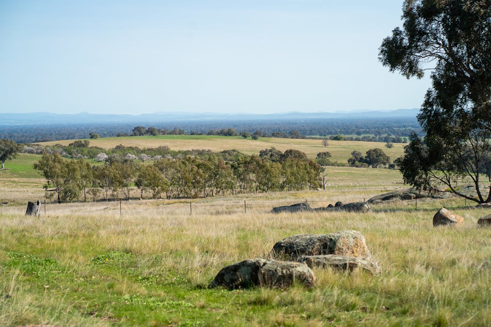 . Cemetery Road, Eldorado, VIC, 3746 - Image 3