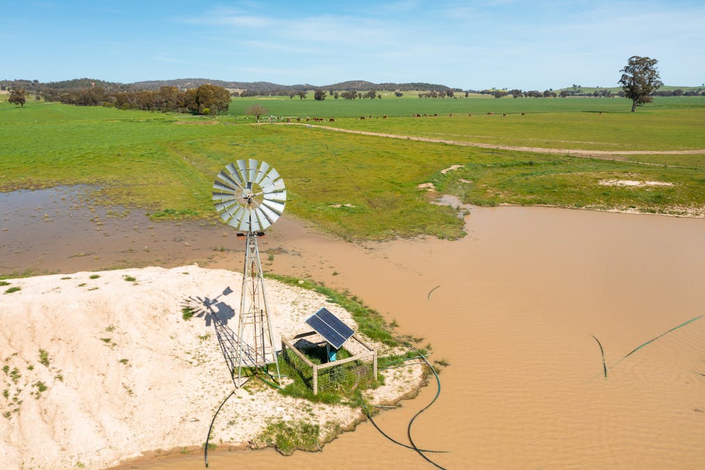 1373 Goorambat-Thoona Road, Thoona, VIC, 3726 - Image 15