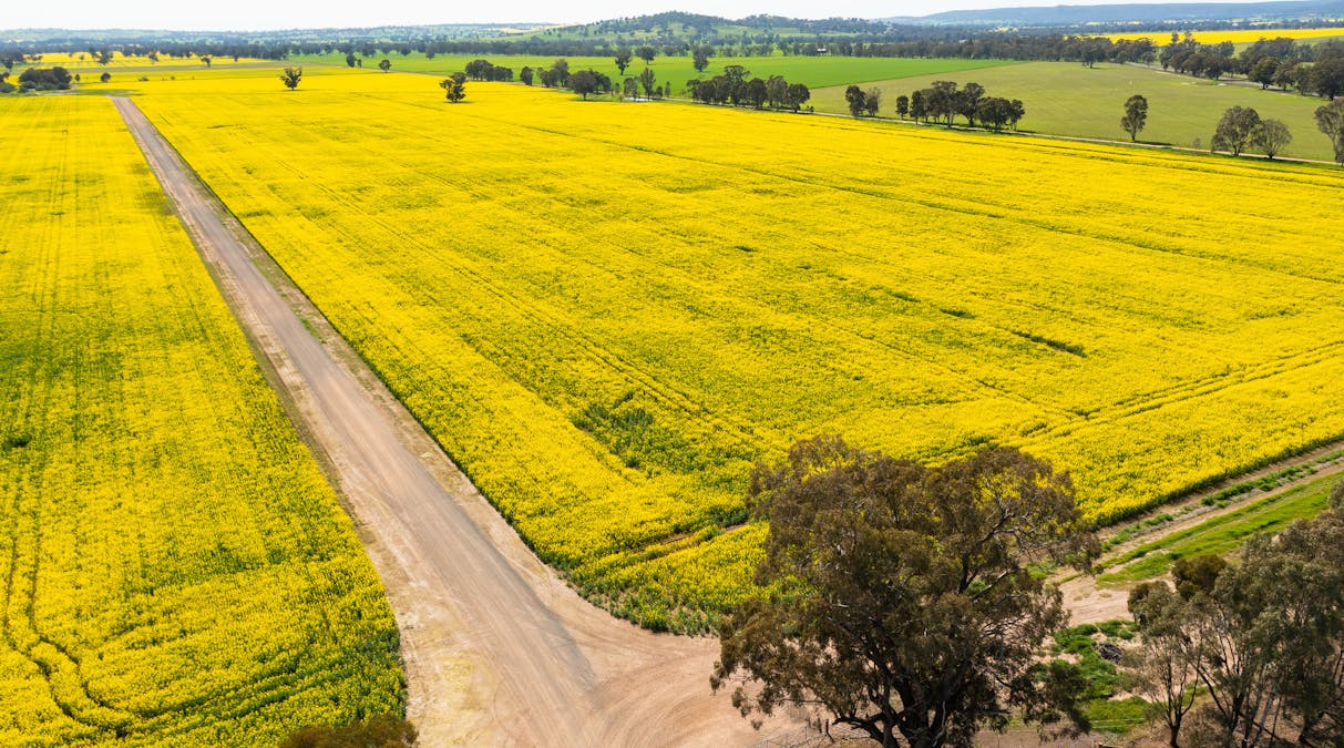 1373 Goorambat-Thoona Road, Thoona, VIC, 3726 - Image 17