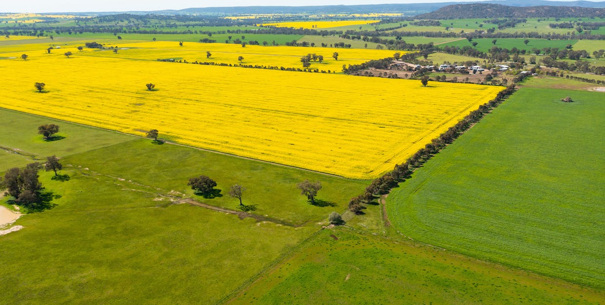 1373 Goorambat-Thoona Road, Thoona, VIC, 3726 - Image 18