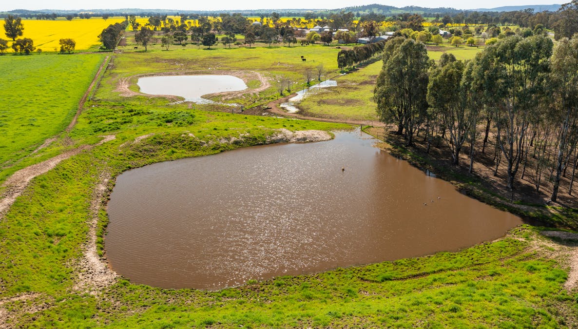 1373 Goorambat-Thoona Road, Thoona, VIC, 3726 - Image 19