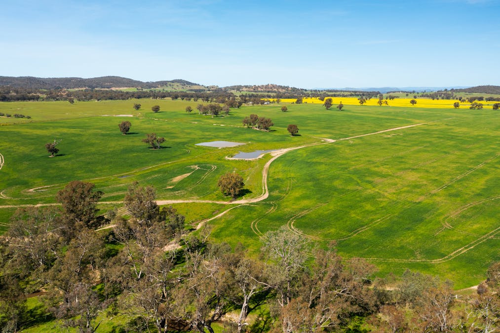 1373 Goorambat-Thoona Road, Thoona, VIC, 3726 - Image 22