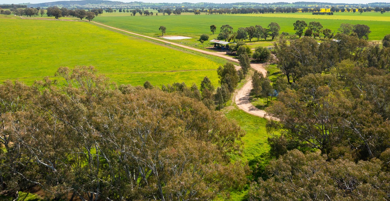 1373 Goorambat-Thoona Road, Thoona, VIC, 3726 - Image 24