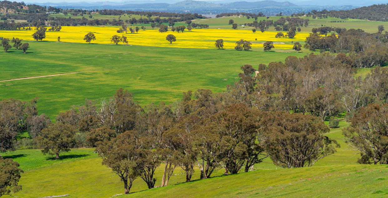 1373 Goorambat-Thoona Road, Thoona, VIC, 3726 - Image 27