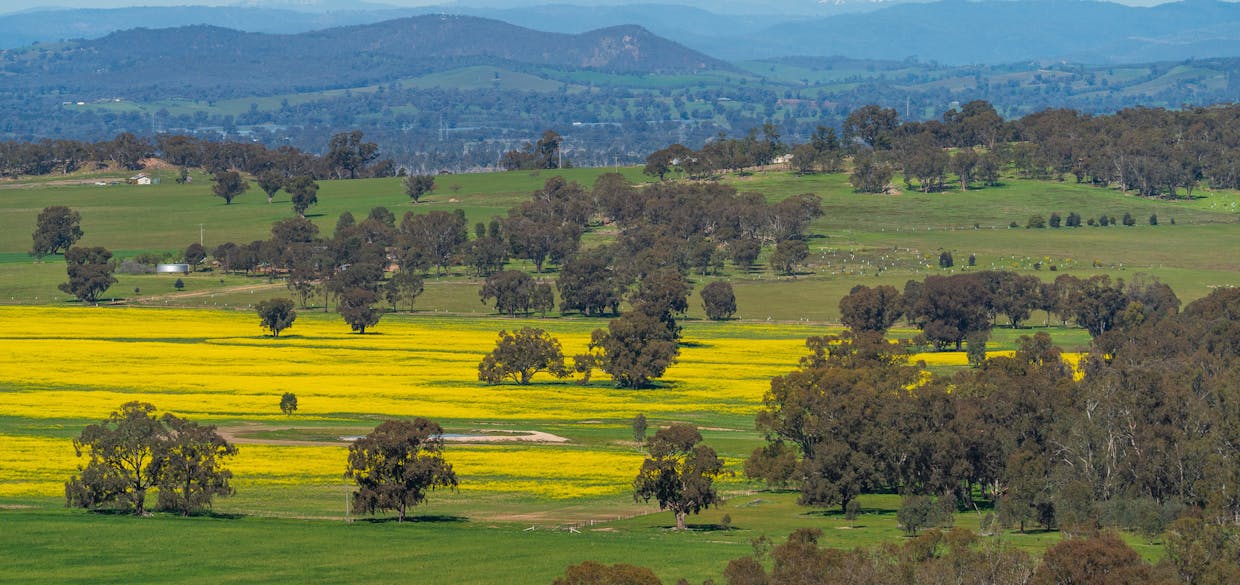 1373 Goorambat-Thoona Road, Thoona, VIC, 3726 - Image 28
