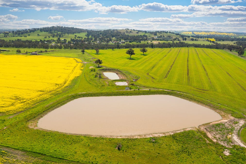 1373 Goorambat-Thoona Road, Thoona, VIC, 3726 - Image 35
