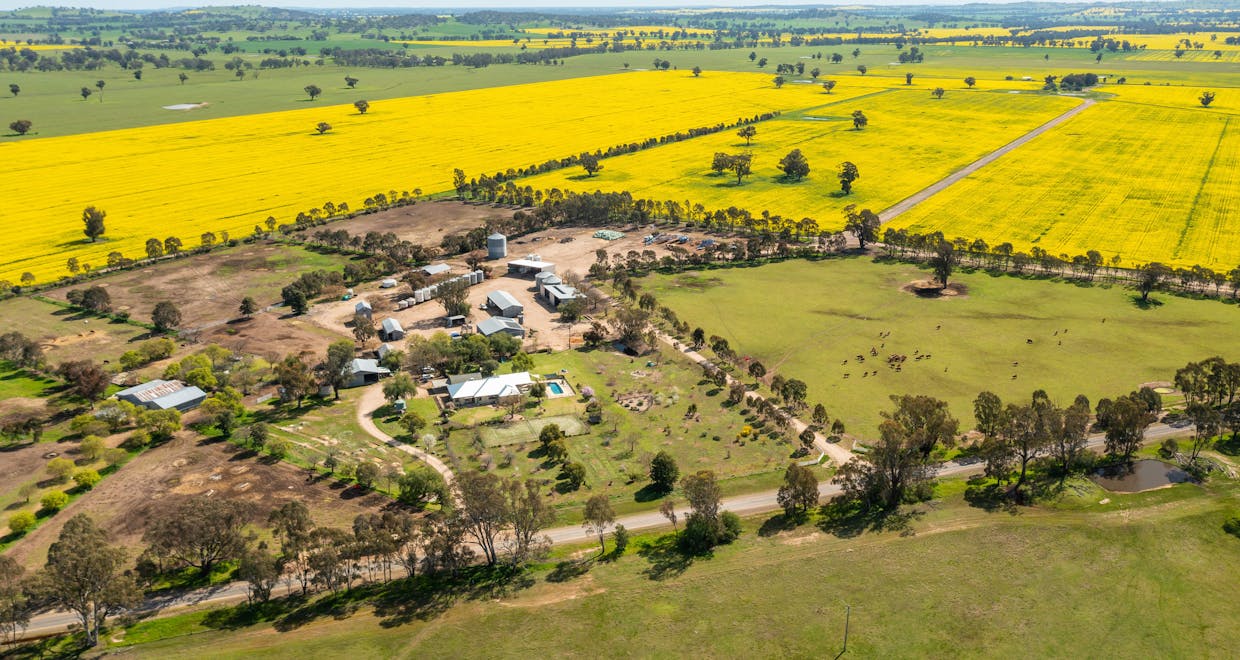 1373 Goorambat-Thoona Road, Thoona, VIC, 3726 - Image 1
