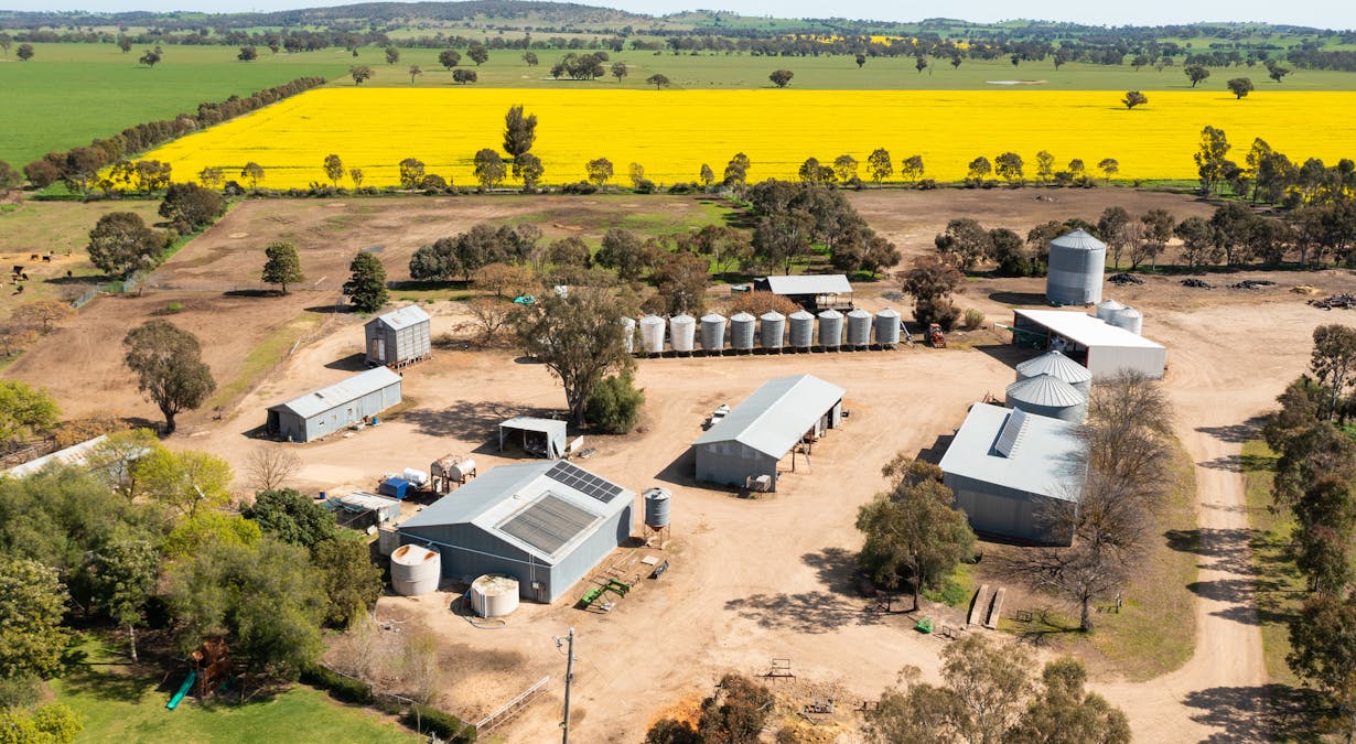 1373 Goorambat-Thoona Road, Thoona, VIC, 3726 - Image 4