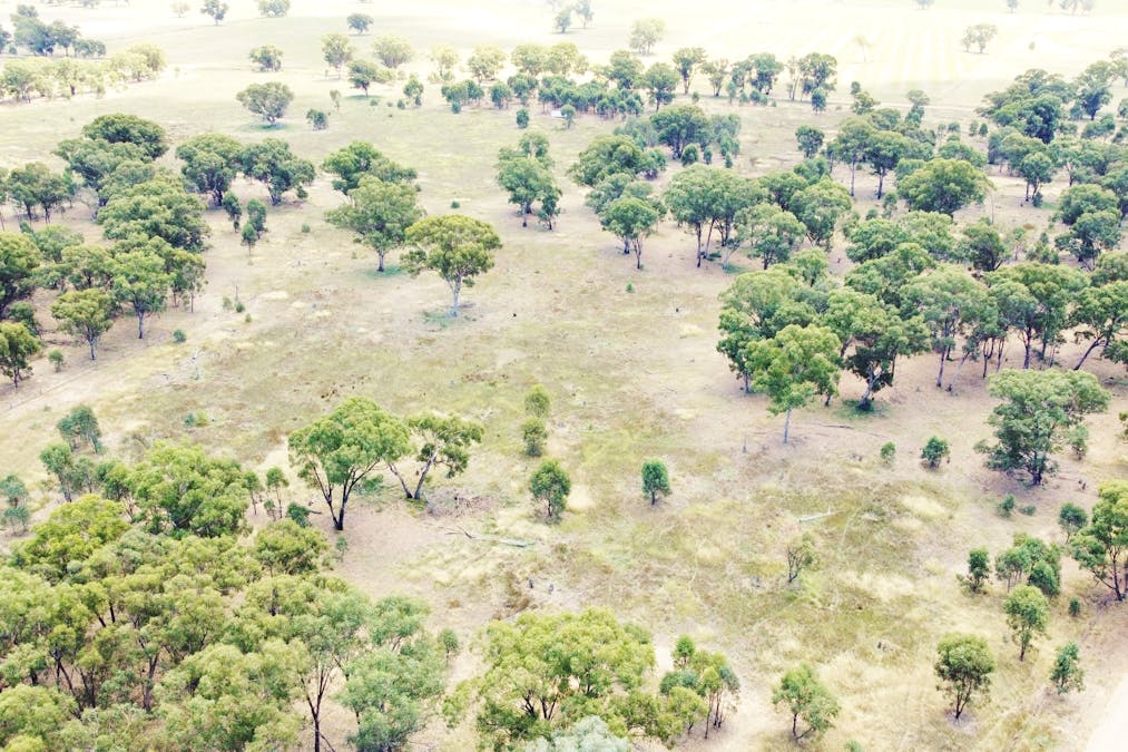 Cnr Research Station Lane & United Road, Rutherglen, VIC, 3685 - Image 6