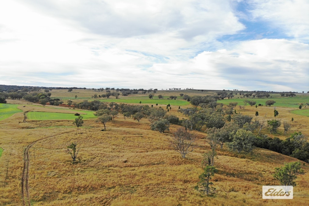 'Eden Hope Delungra Bypass Road, Delungra, NSW, 2403 - Image 15