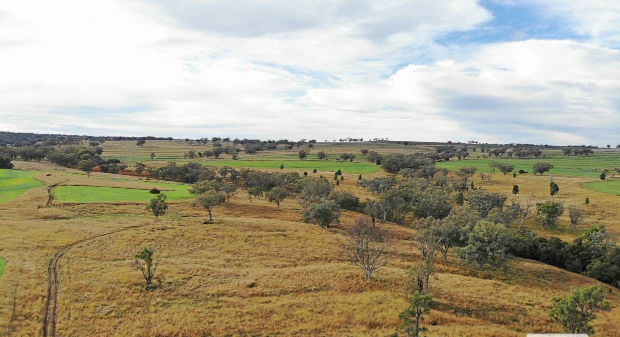 'Eden Hope Delungra Bypass Road, Delungra, NSW, 2403 - Image 15