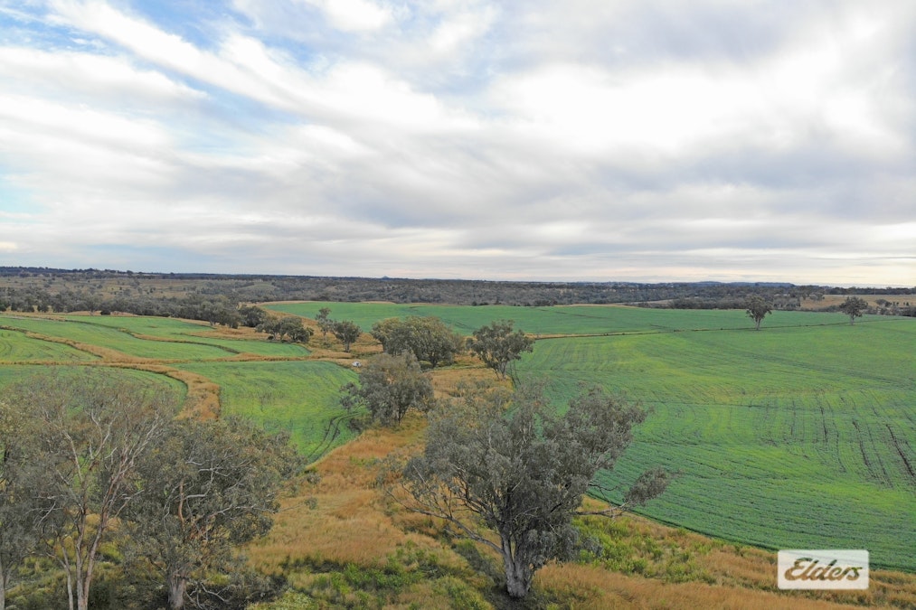 'Eden Hope Delungra Bypass Road, Delungra, NSW, 2403 - Image 13