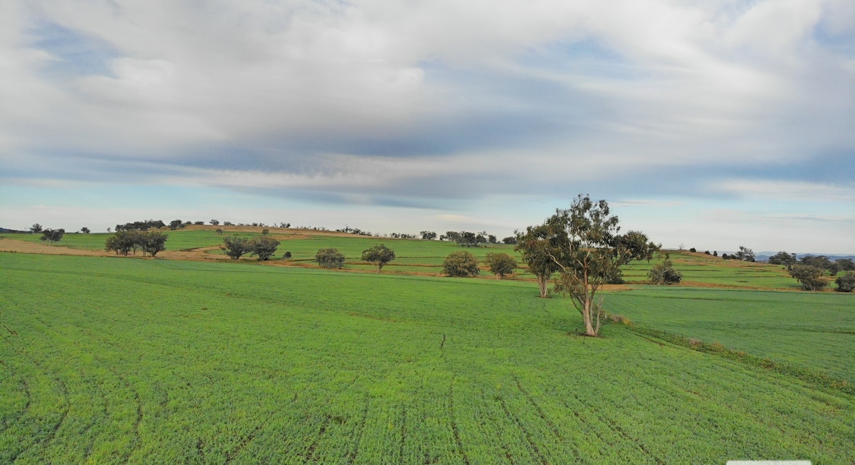 'Eden Hope Delungra Bypass Road, Delungra, NSW, 2403 - Image 1
