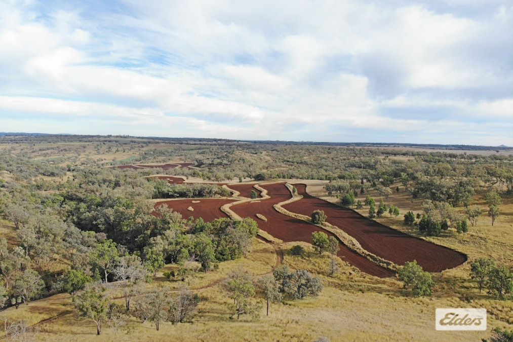 'Eden Hope Delungra Bypass Road, Delungra, NSW, 2403 - Image 11