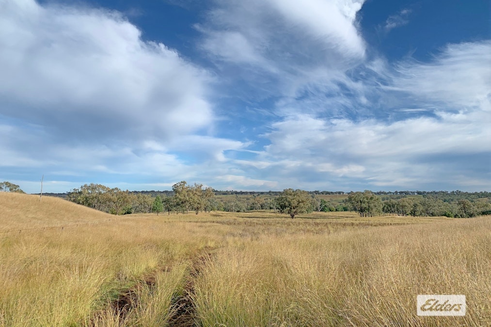 'Eden Hope Delungra Bypass Road, Delungra, NSW, 2403 - Image 26