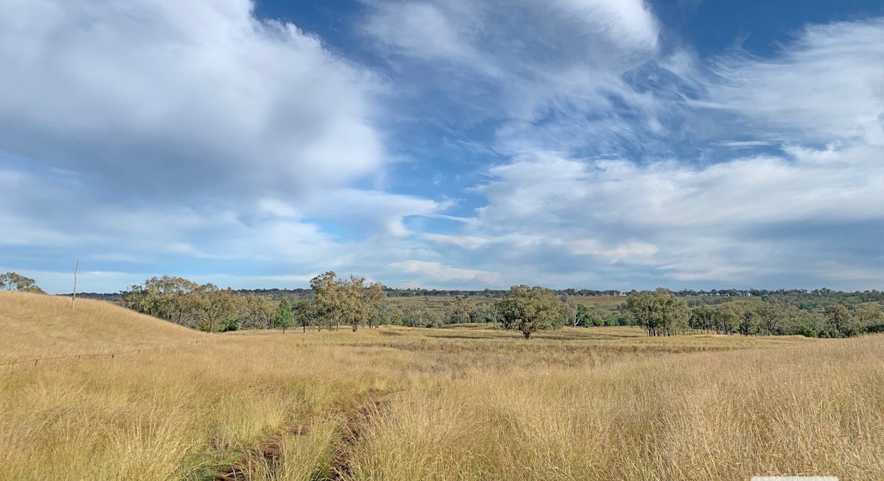 'Eden Hope Delungra Bypass Road, Delungra, NSW, 2403 - Image 26