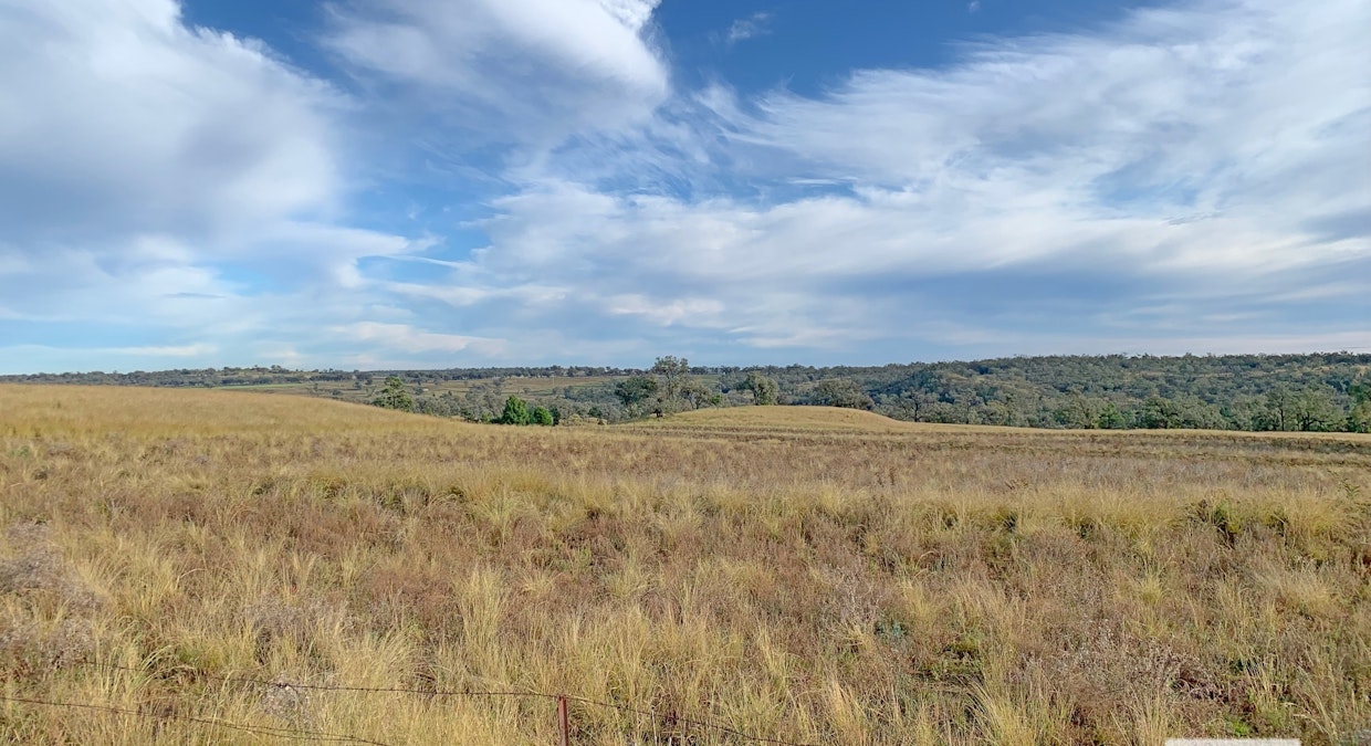 'Eden Hope Delungra Bypass Road, Delungra, NSW, 2403 - Image 27