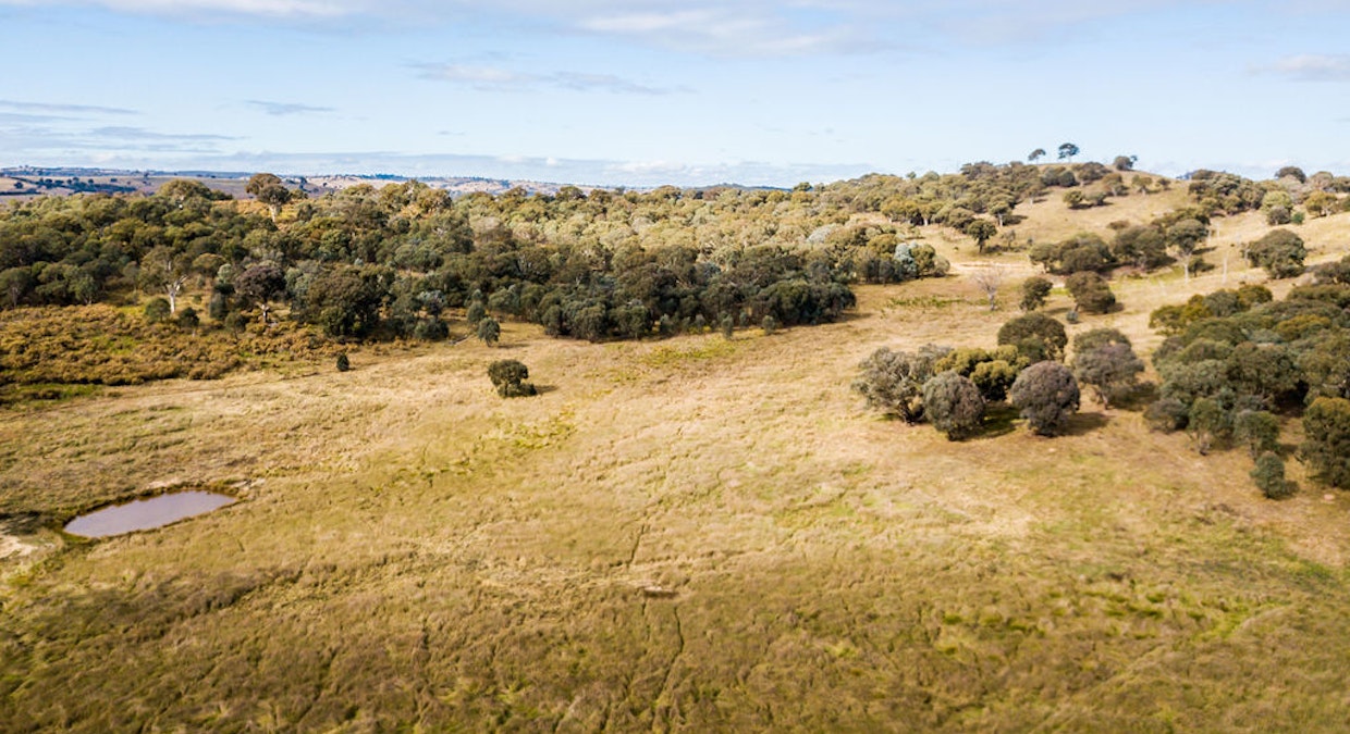 Bevendale, NSW, 2581 - Image 2