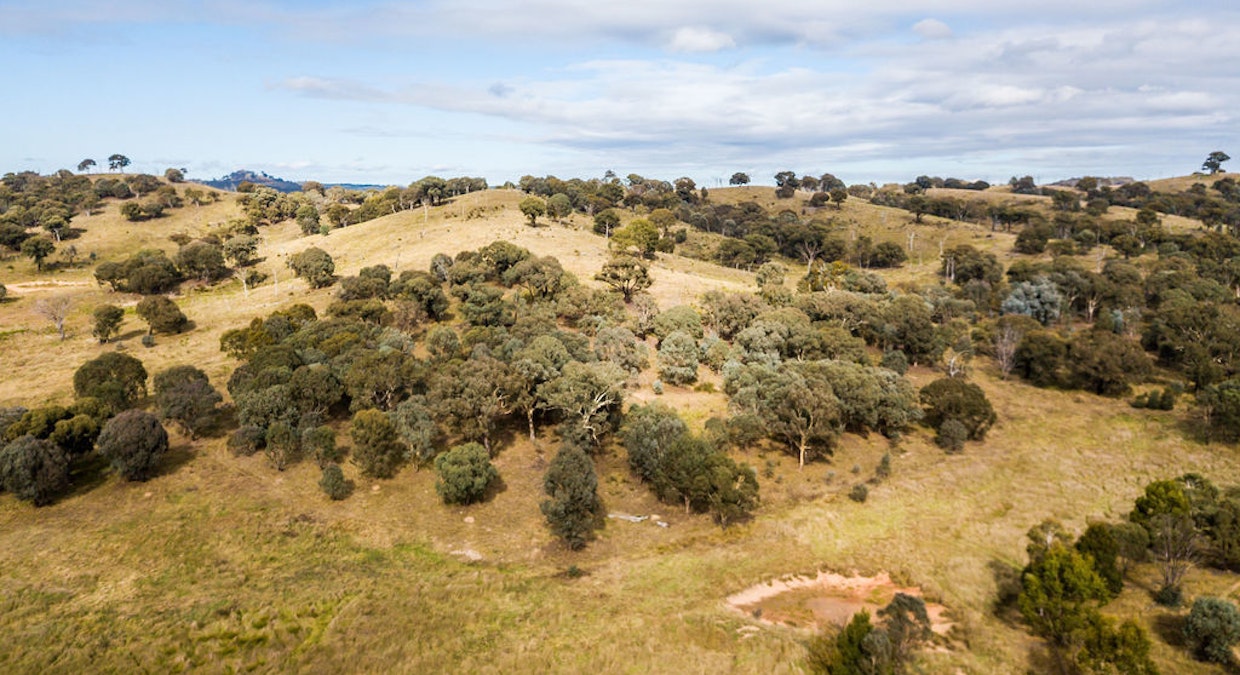 Bevendale, NSW, 2581 - Image 7