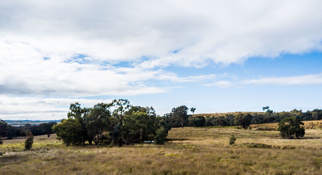 Bevendale, NSW, 2581 - Image 11