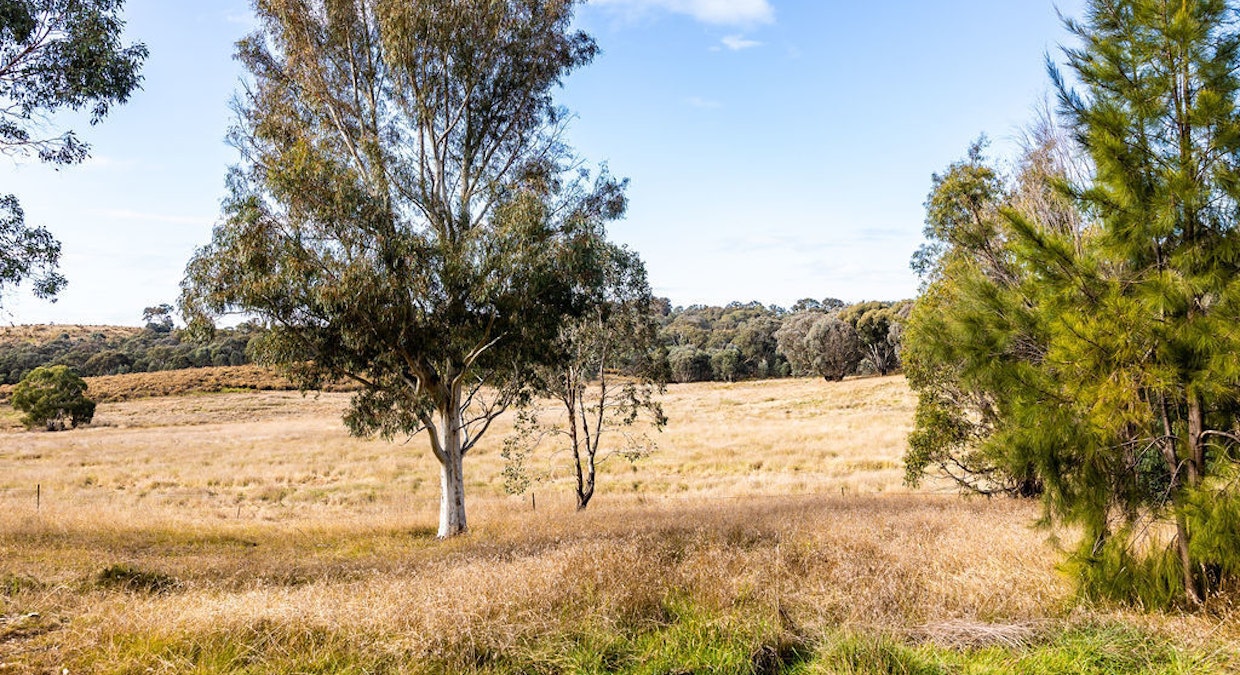 Bevendale, NSW, 2581 - Image 21