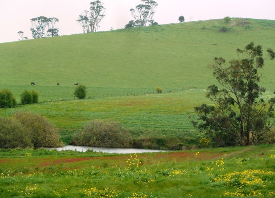 - Bungaree-Ballarat Road, Clarkes Hill, VIC, 3352 - Image 3