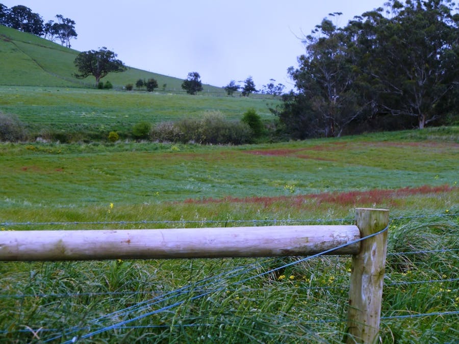 - Bungaree-Ballarat Road, Clarkes Hill, VIC, 3352 - Image 4