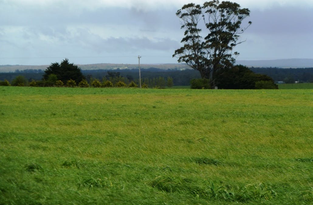 - Bungaree-Ballarat Road, Clarkes Hill, VIC, 3352 - Image 6