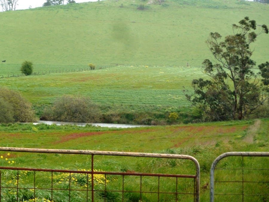 - Bungaree-Ballarat Road, Clarkes Hill, VIC, 3352 - Image 12