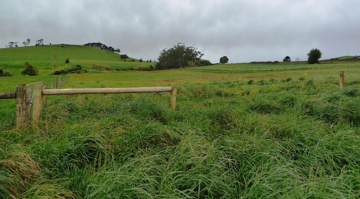 - Bungaree-Ballarat Road, Clarkes Hill, VIC, 3352 - Image 14