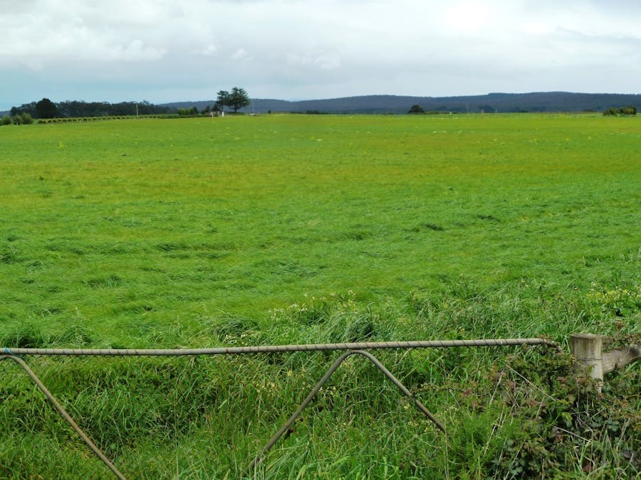 - Bungaree-Ballarat Road, Clarkes Hill, VIC, 3352 - Image 2