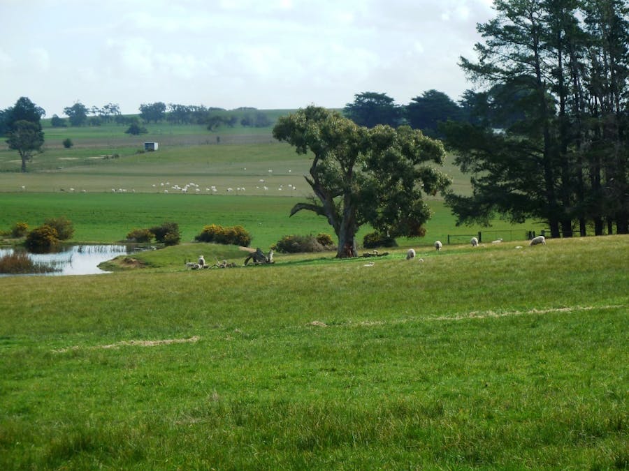 575 Preston Hill Road, Hillcrest, VIC, 3351 - Image 11