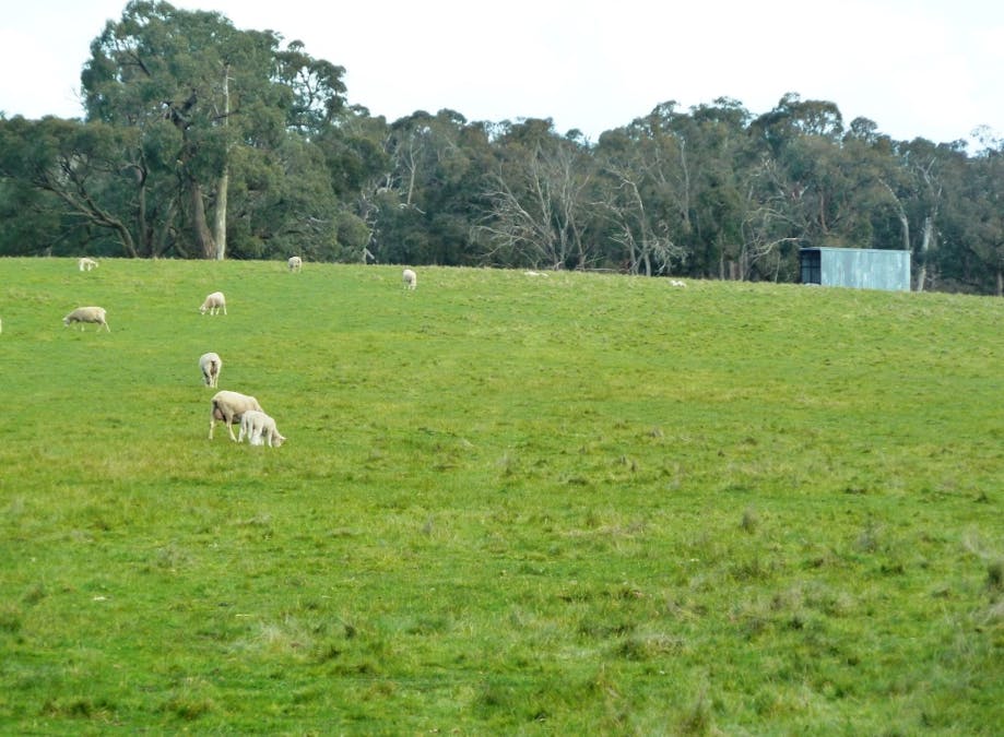 575 Preston Hill Road, Hillcrest, VIC, 3351 - Image 14