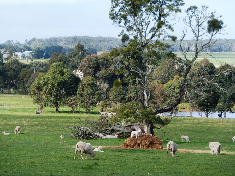 575 Preston Hill Road, Hillcrest, VIC, 3351 - Image 17