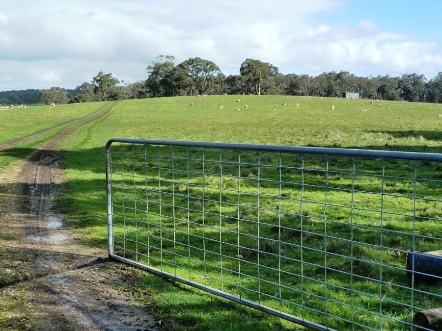 575 Preston Hill Road, Hillcrest, VIC, 3351 - Image 20