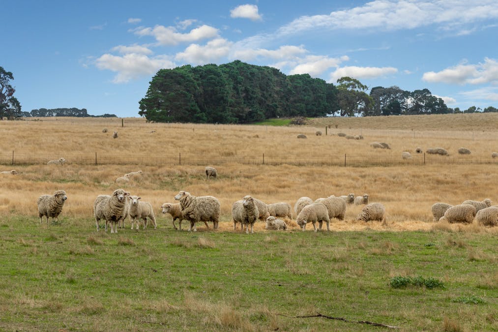 1040 Slate Quary Road, Meredith, VIC, 3333 - Image 35