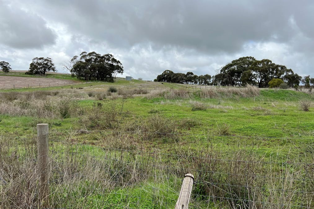 2167 Sturt Highway, Greenock, SA, 5360 - Image 8