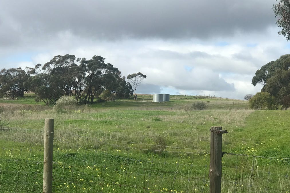 2167 Sturt Highway, Greenock, SA, 5360 - Image 9