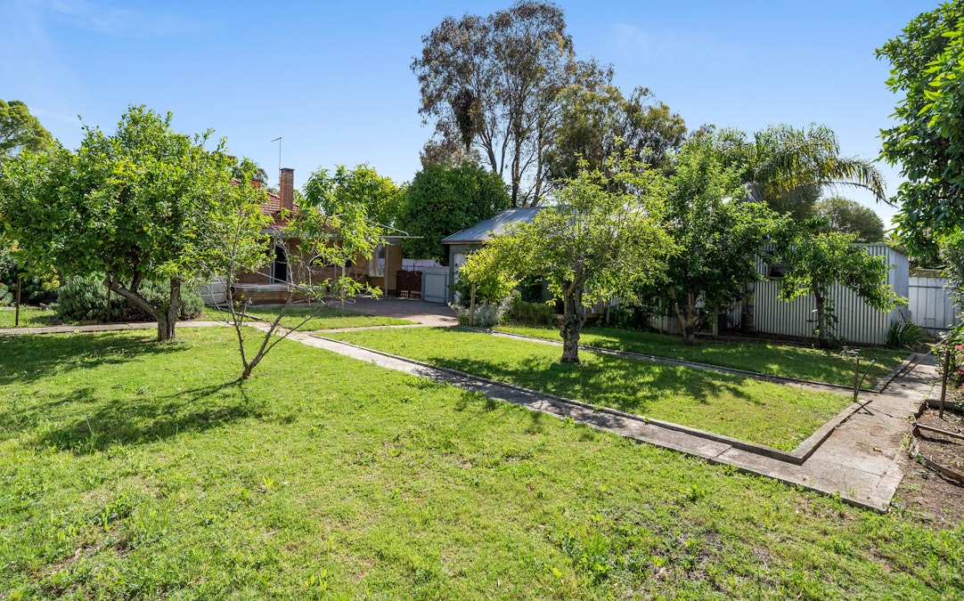 13 Bridge Street, Tanunda, SA, 5352 - Image 3