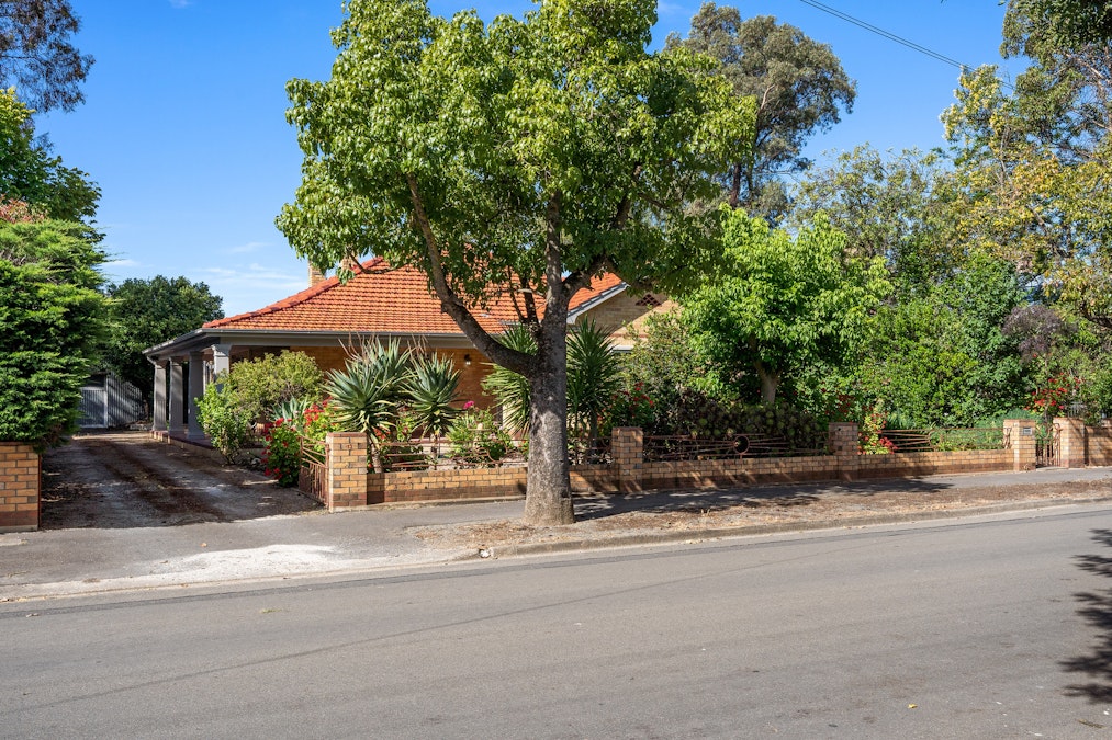 13 Bridge Street, Tanunda, SA, 5352 - Image 8