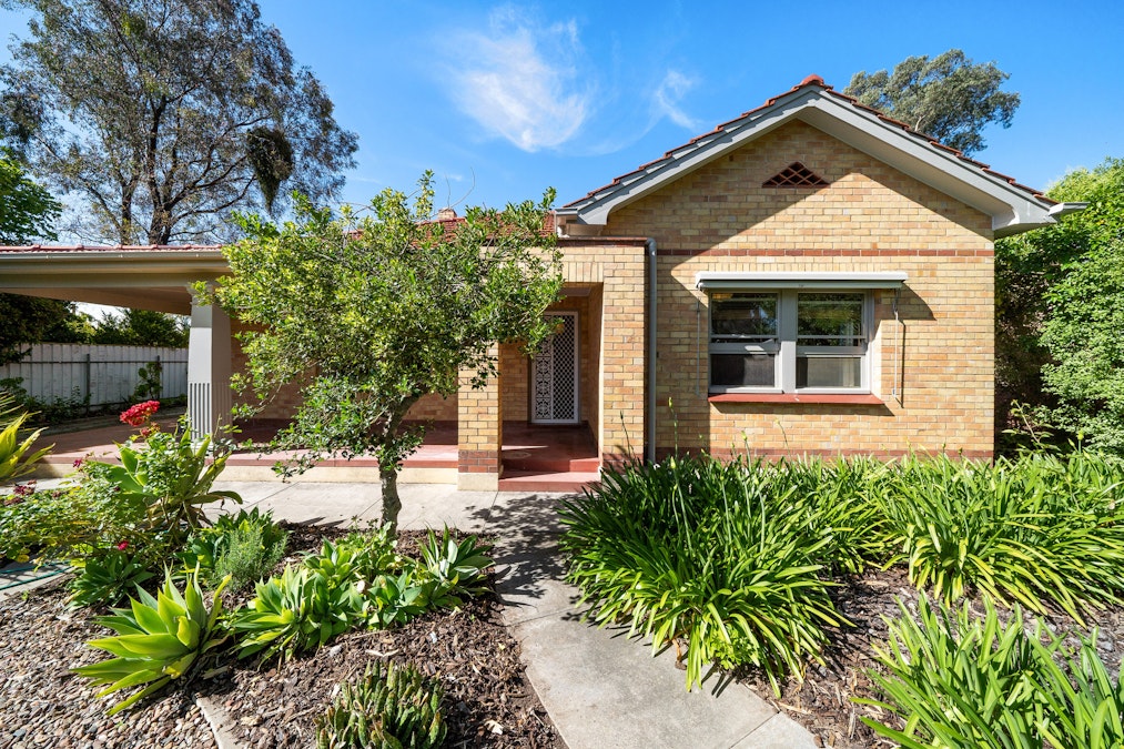 13 Bridge Street, Tanunda, SA, 5352 - Image 6