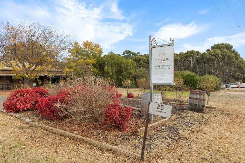 25 St Hallett Road, Rowland Flat, SA, 5352 - Image 12