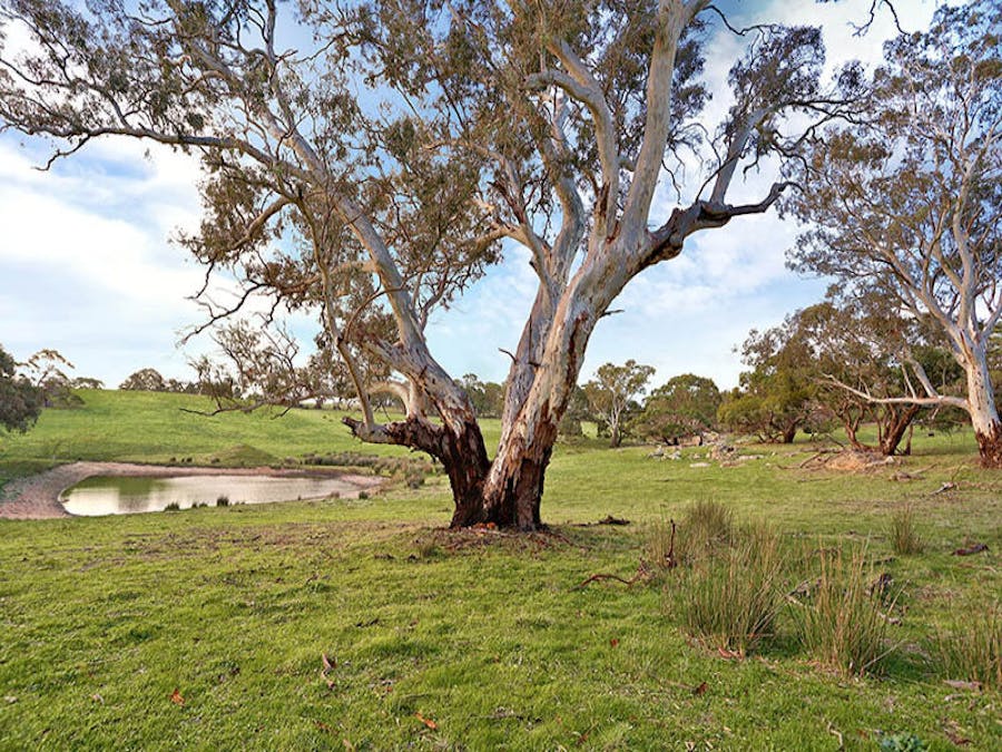 57 Dawson Road, Mount Crawford, SA, 5351 - Image 3