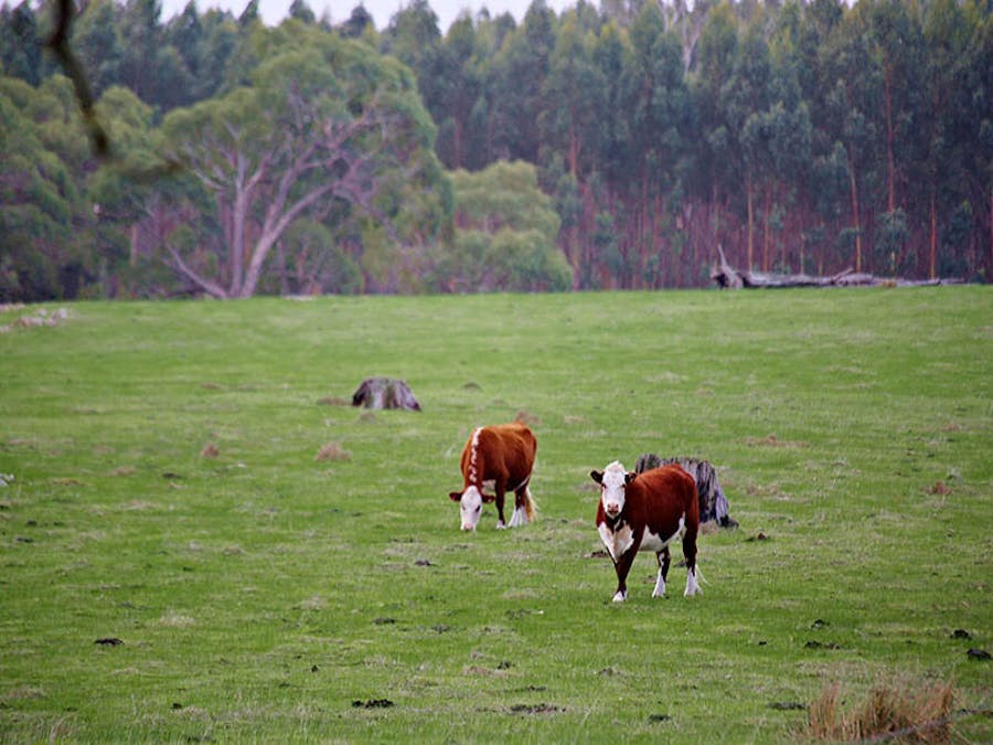 57 Dawson Road, Mount Crawford, SA, 5351 - Image 10