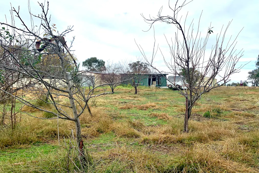 98 Bendick Murrell Road, Bendick Murrell, NSW, 2803 - Image 7