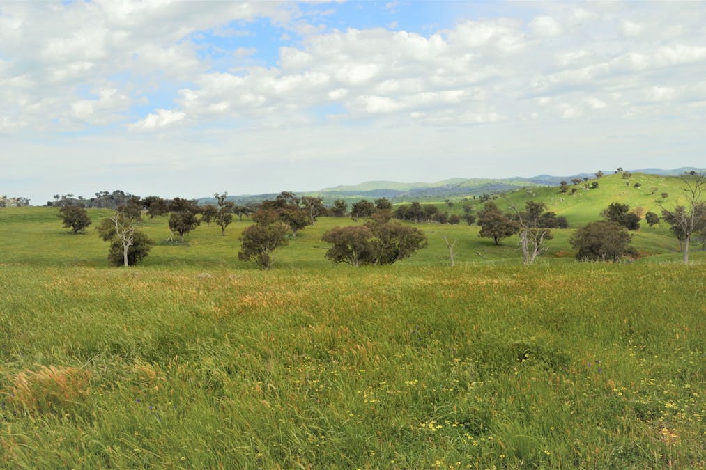 3314 Jugiong Road, Jugiong, NSW, 2726 - Image 10