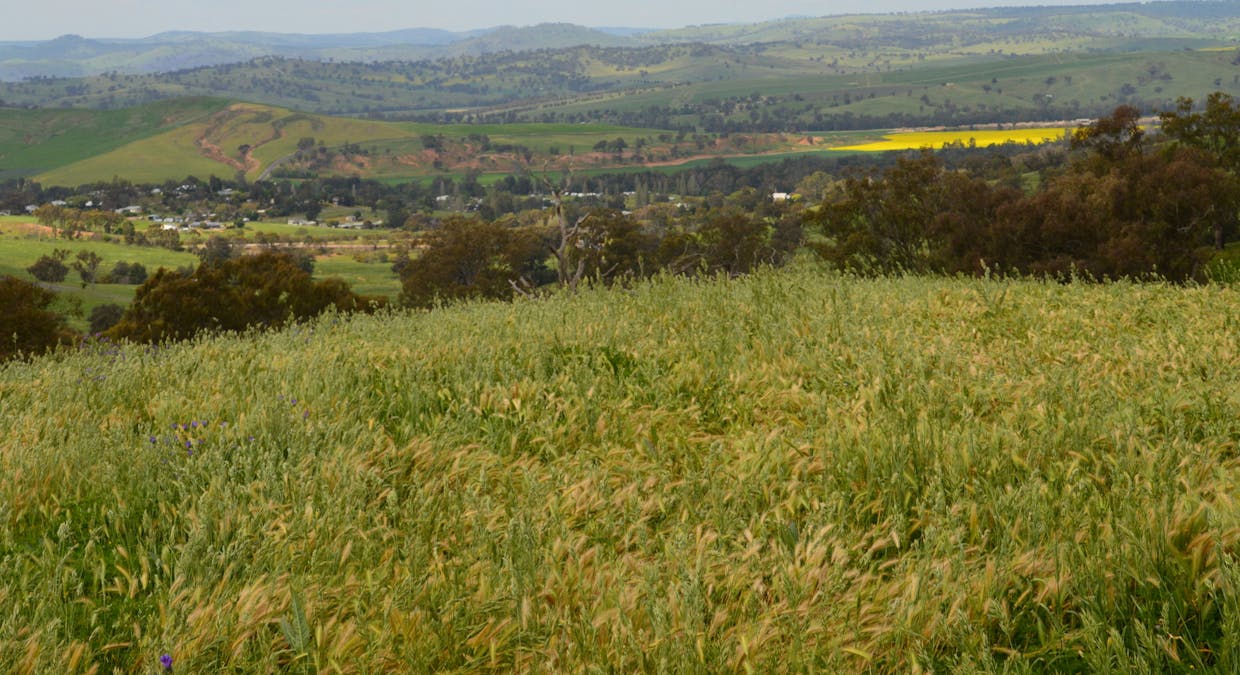 3314 Jugiong Road, Jugiong, NSW, 2726 - Image 12