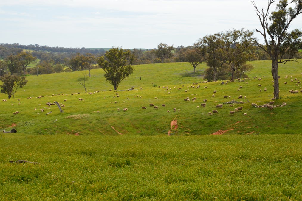 3314 Jugiong Road, Jugiong, NSW, 2726 - Image 17