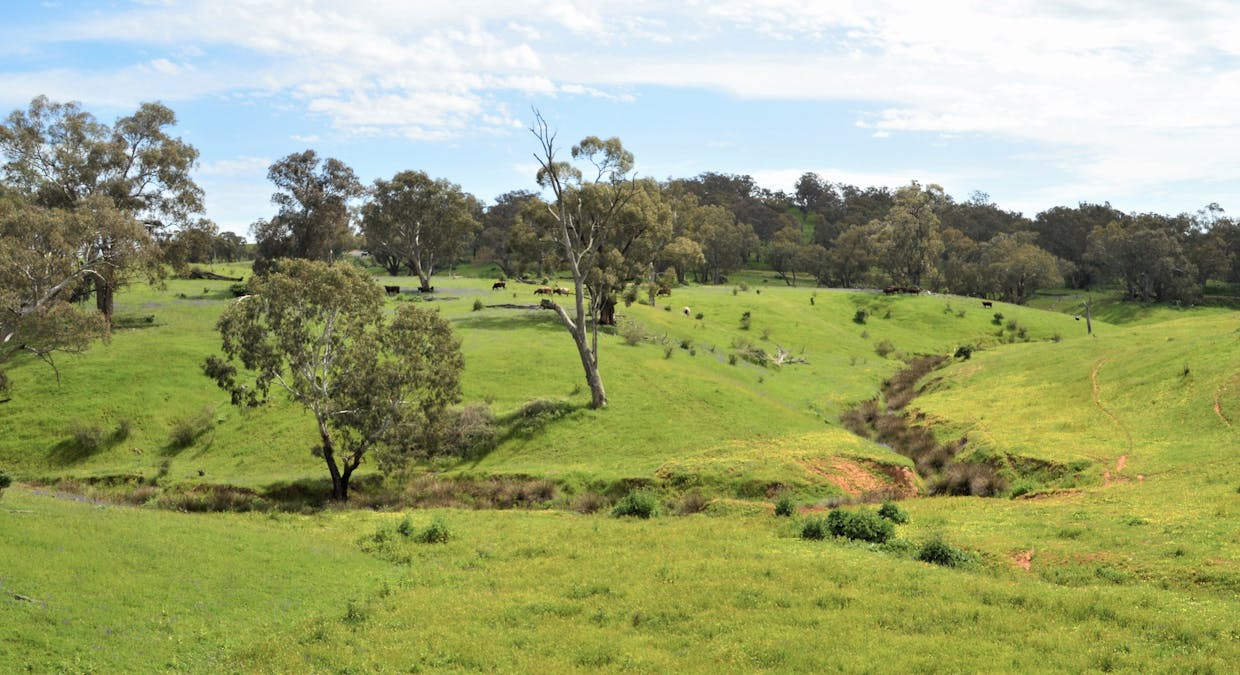 3314 Jugiong Road, Jugiong, NSW, 2726 - Image 18